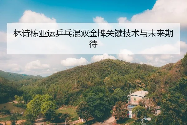 林诗栋亚运乒乓混双金牌关键技术与未来期待 - hahasports
